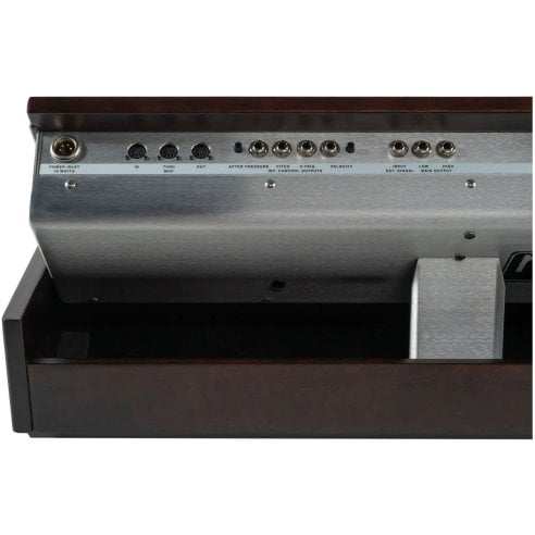 MOOG MINIMOOG MODEL D 2022 EDITION