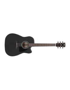 IBANEZ AW247CE-WKH