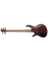 CORT ARTISAN B5 ELEMENT OPBR