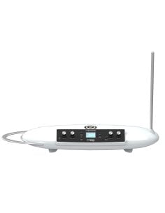 MOOG THEREMINI