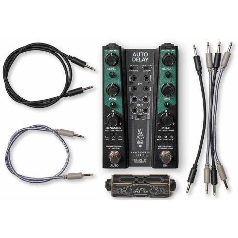 GAMECHANGER AUTO DELAY