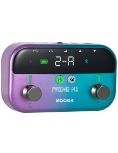 MOOER PRIME M1 MULTI EFFECTS 2