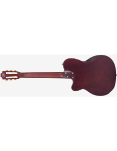 LARRY CARLTON G5N NATURAL SATIN 2