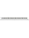 BLACKSTAR CARRY ON 88 WHITE KIT