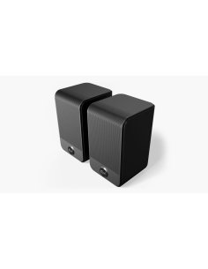 KLIPSCH KLIPSCH Surround Flexus XSURR 100