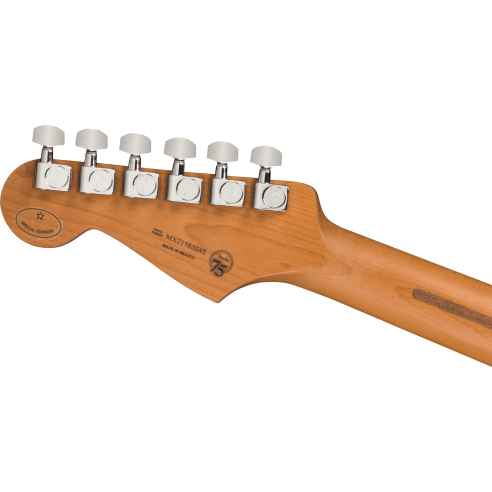 FENDER DE PLAYER STRAT ROASTED MN SFMG