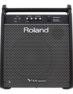 ROLAND PM-200 MONITOR X V DRUMS