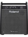 ROLAND PM-200 MONITOR X V DRUMS