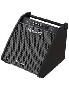 ROLAND PM-200 MONITOR X V DRUMS 2