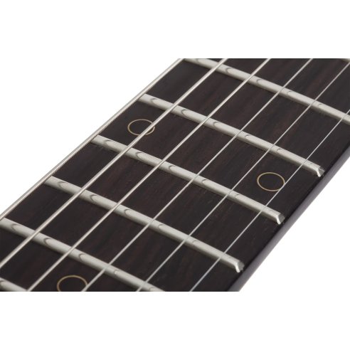 SCHECTER NICK JOHNSTON TRADITIONAL HSS ATOMIC FROST