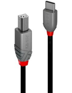 LINDY CAVO USB 2.0 C-B ANTHRA 2 MT 2