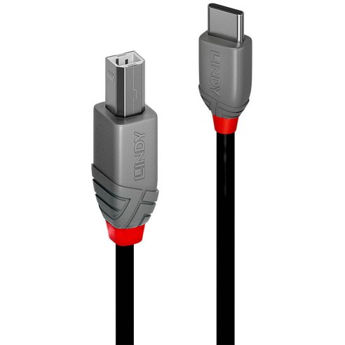 LINDY CAVO USB 2.0 C-B ANTHRA 2 MT