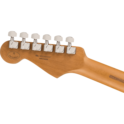 FENDER DE PLAYER STRAT ROASTED PF BLACK