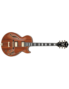 IBANEZ AG95K-NT
