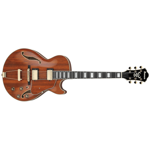IBANEZ AG95K-NT