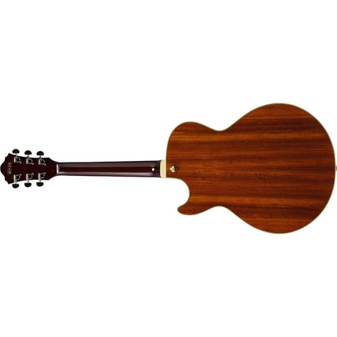 IBANEZ AG95K-NT