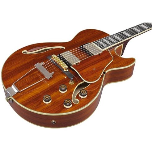 IBANEZ AG95K-NT