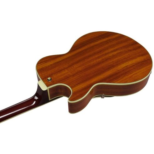 IBANEZ AG95K-NT