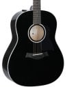 TAYLOR 217e BK PLUS MAPLE SPRUCE
