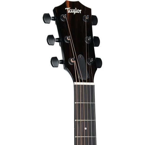 TAYLOR 217e BK PLUS MAPLE SPRUCE