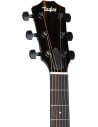 TAYLOR 217e BK PLUS MAPLE SPRUCE