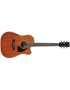 IBANEZ PF16 W CE OPN