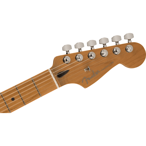 FENDER DE PLAYER PLUS HSS ROASTED MN BLACK