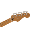 FENDER DE PLAYER PLUS HSS ROASTED MN BLACK