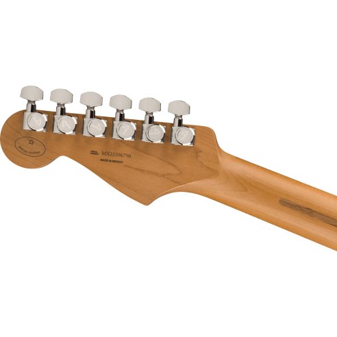 FENDER DE PLAYER PLUS HSS ROASTED MN BLACK