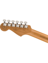 FENDER DE PLAYER PLUS HSS ROASTED MN BLACK