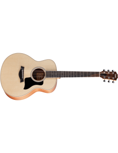 TAYLOR GS MINI SAPELE/SPRUCE
