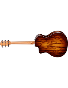 TAYLOR 214CE PLUS SPECIAL EDITION 2