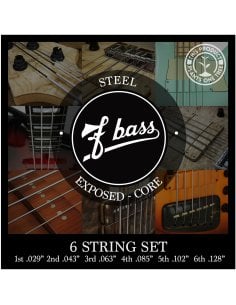 F BASS 6 STRING SET