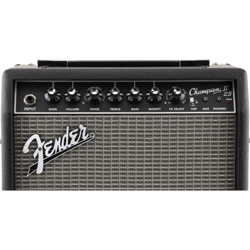 FENDER CHAMPION 25 II
