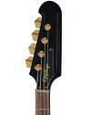EPIPHONE REX BROWN THUNDERBIRD + CASE
