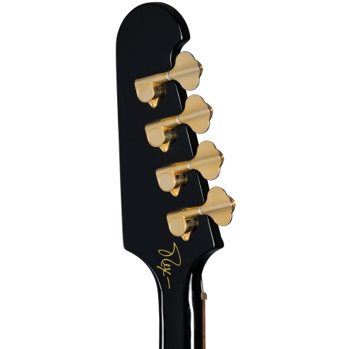 EPIPHONE REX BROWN THUNDERBIRD + CASE