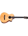 TAYLOR 212ce-N PLUS