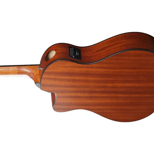 IBANEZ AAM50CE-CRO