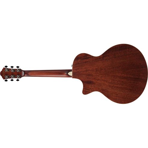 IBANEZ AE200JR-DBF