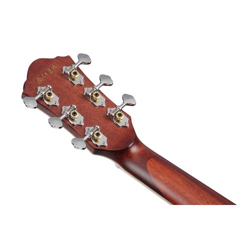 IBANEZ AE200JR-DBF