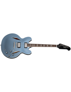 EPIPHONE DAVE GROHL DG-335 W/CASE