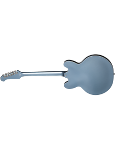 EPIPHONE DAVE GROHL DG-335 W/CASE 2