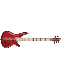 IBANEZ ANB205-TWB ADAM NITTI SIGNATURE