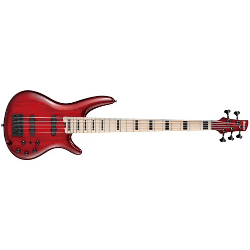 IBANEZ ANB205-TWB ADAM NITTI SIGNATURE