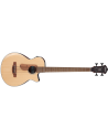 IBANEZ AEGB30E-NTG
