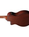 IBANEZ AEGB30E-NTG