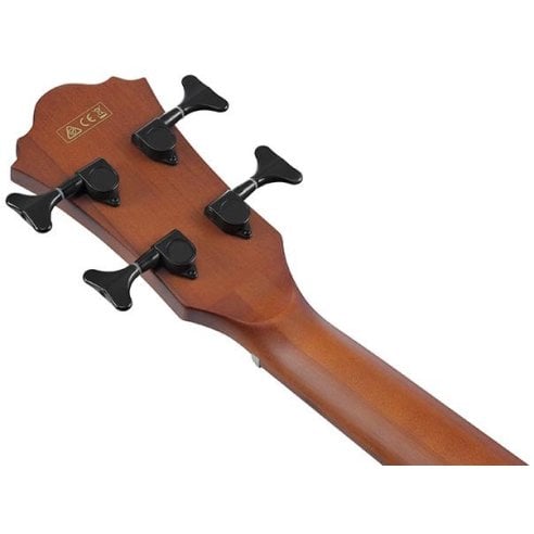 IBANEZ AEGB30E-NTG