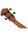 IBANEZ AEGB30E-NTG