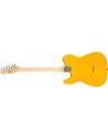 FENDER STANDARD TELE MN BUTTERSCOTCH BLONDE