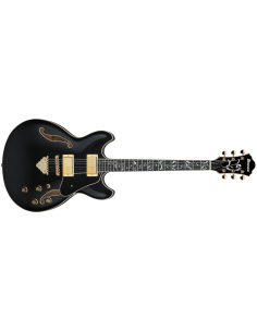 IBANEZ AS93SP-BK